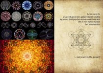 no-hallucination-sacred.jpg