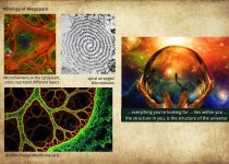biology-metaspace.jpg