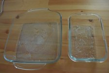 DSC_4149.JPG