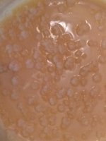 IMG_20170603_140257.jpg