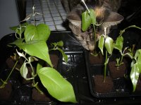 2010-01-01+011322.jpg