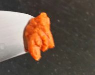 Goop.jpg