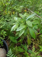 20170623_184741.jpg