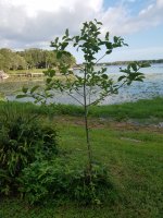 20170623_184852.jpg