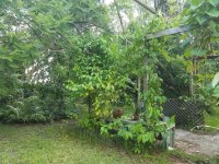 20170623_185325.jpg