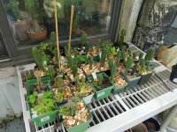20170623_185050.jpg