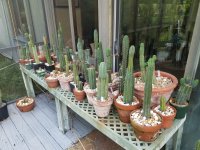 20170623_185139.jpg