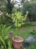 20170623_185510.jpg