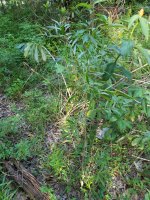 20170623_185714.jpg
