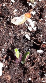 20170708_110845.jpg