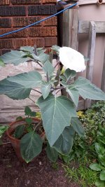20170824_144344.jpg