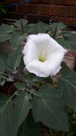 20170824_144352.jpg