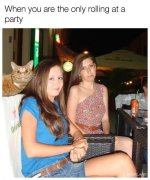 4bf9bc3f5f0b46c0447e092c9d9addc0.jpg