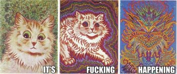 4c32df48be99e8fe5609b712298dca0e--trippy-cat-lady.jpg