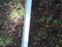 20170911_154431.jpg