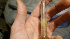 20170927_174105.jpg