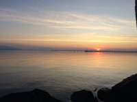 IMG_0873.JPG