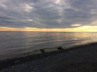 IMG_0584.JPG