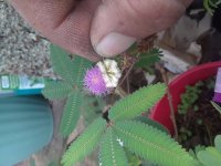 20171007_162817.jpg