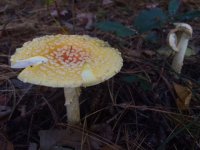 photo1.jpg