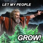 Let-my-people-grow-marijuana.jpg