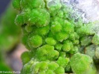 pyromorphite29774b.jpg