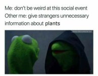 otherme.jpg