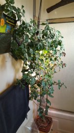 20180101_091224.jpg