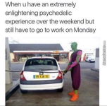 IMG_3498.PNG