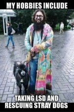 my-hobbies-include-taking-lsd-and-rescuing-stray-dogs-esleepypandame-6815939.jpg