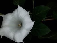 20180111_224728.jpg