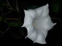 20180111_224721.jpg