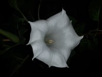 20180111_224714.jpg