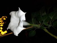 20180113_192852.jpg
