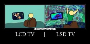 lcdlsd_1.jpg