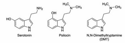 psilohuasca_serotonin_psilocin_dmt_x.jpg