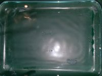 20180124_184247.jpg