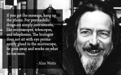 34c675de91c7585c40fc3ca1ed536719--alan-watts-the-message.jpg