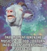 317e0c2f22f2cdb571b2a9da36325a88.jpg