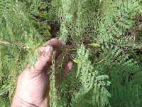 20170715_132316.jpg