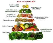 Diet+raw+food.png