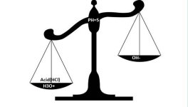 doublepan-balance-scale-800x800.jpg