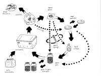 shroom-cycle.jpg