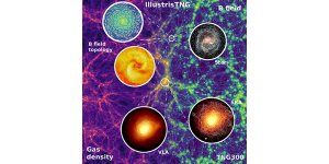 Illustris_middle+image.jpg