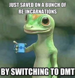 gecko.png