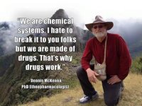 40a475edfbf9145e0a7603e13dc802f5--terrence-mckenna-quotes-terrance-mckenna.jpg