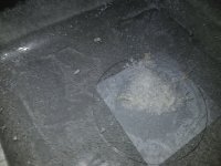 20180616_203017.jpg