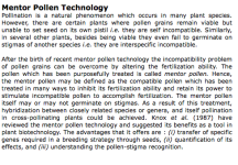 Mentor+Pollen.png