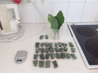 11+Fresh+leaf+and+6g+packets+for+freezing.jpg
