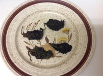 13+Dried+previously+frozen+salvia+leaf+on+a+dinner+plate.jpg